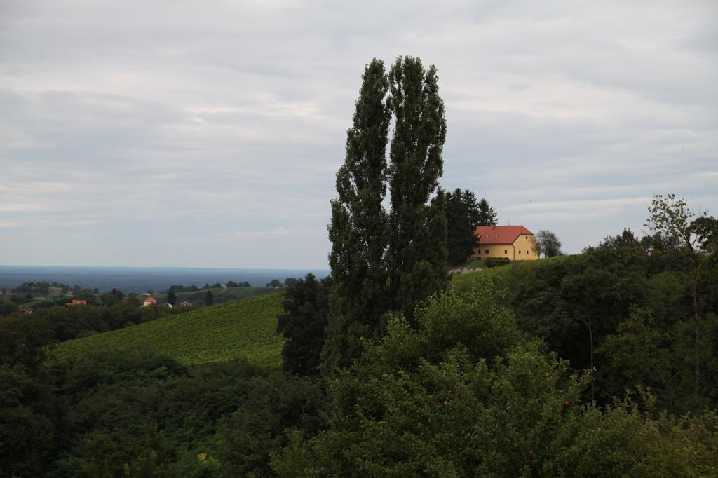 Holiday Home Maderka Strigova Exterior photo