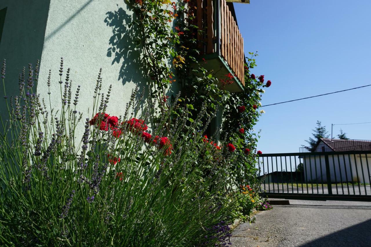 Holiday Home Maderka Strigova Exterior photo
